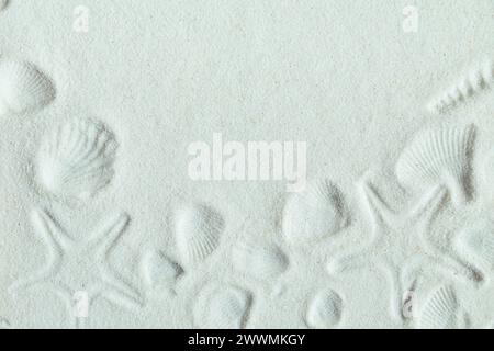 Sandy beach texture with imprints of shells and starfish. Natural textured background. Top view, flat lay. Stock Photo