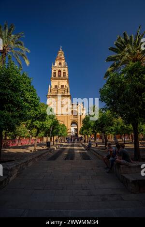 Bell tower - minaret of the Mosque Cathedral of Córdoba (Córdoba, Andalusia, Spain) ESP: Campanario - alminar de la Mezquita Catedral de Córdoba Stock Photo