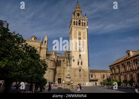 La Giralda, the bell tower of Seville Cathedral, seen from the Virgen de los Reyes square (Seville, Andalusia, Spain) ESP: La Giralda de Sevilla Stock Photo