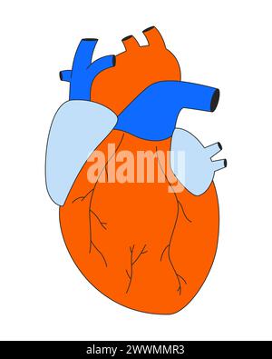 Human heart transplantation 2D linear cartoon object Stock Vector