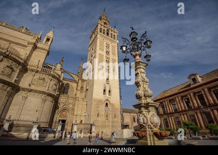 La Giralda, the bell tower of Seville Cathedral, seen from the Virgen de los Reyes square (Seville, Andalusia, Spain) ESP: La Giralda de Sevilla Stock Photo