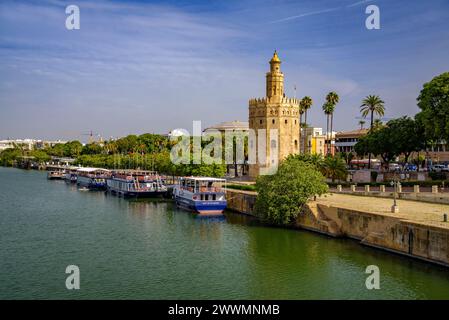 Traditional view of Seville with the Torre del Oro and the Guadalquivir river with some boats (Seville, Andalusia, Spain) Stock Photo