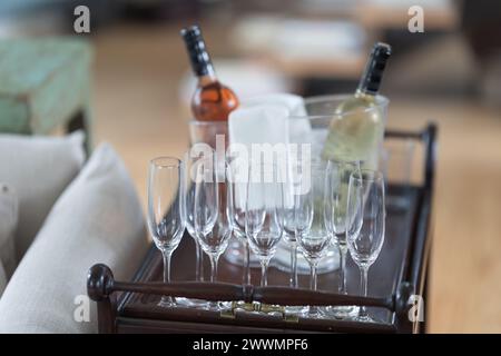 A tray of wine glasses and a bottle of wine. The tray is placed on a wooden surface Stock Photo