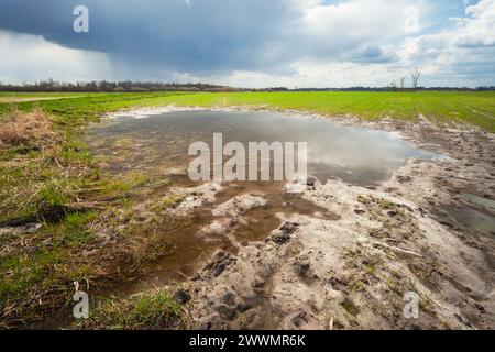 A puddle in the field and a rainy cloudy sky Stock Photo