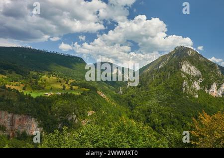 Montenegro. Canyon and Tara river. Mountains and forests on the slopes of the mountains. Stock Photo