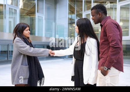 A multiethnic group of young professionals reaches an agreement outside the office. Stock Photo