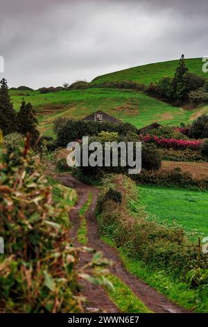 Dirt road leading to abandoned house in ruins, Azores islands, vegetation and moutains. Stock Photo