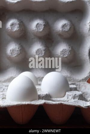 Closeup shot of white eggs in carton box. Selective focus. Stock Photo