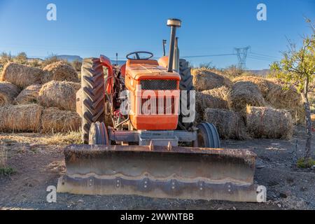 Old tractor in a field with a scraper attached to it.  Behind the tractor is a rolled and pressed hay bales. Stock Photo