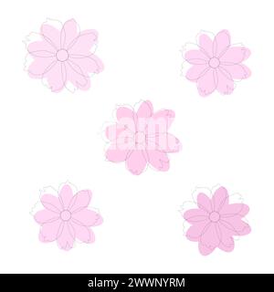 A set of five soft pink cosmos flowers. Vector, white background. Stock Vector