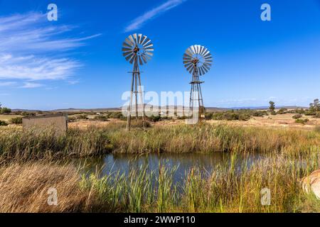 Two old school metal windmills in the semi arid Karoo area of South Africa.  In the foreground is a large pool of water from the windmills. Stock Photo