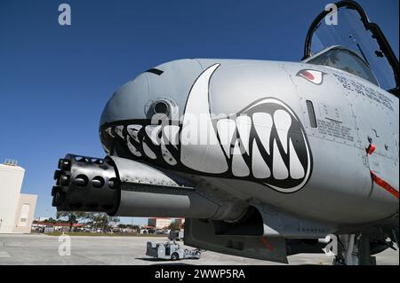 Crew chiefs assigned to the 442nd Aircraft Maintenance Squadron, perform a post flight inspection on an A-10C Thunderbolt II assigned to the 303rd Fighter Squadron, Whiteman Air Force Base, Missouri, Feb. 6, 2024 at MacDill AFB, Florida. The A-10 can employ a variety of conventional munitions including general purpose bombs, cluster bomb units, laser guided bombs and joint direct attack munitions. It utilizes the GAU-8/A 30mm cannon, capable of firing 3,900 rounds per minute to defeat a wide variety of targets including tanks.  Air Force Stock Photo