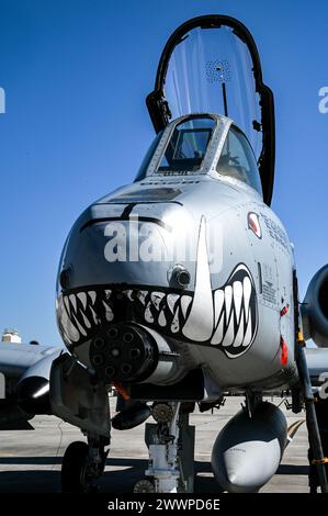 Crew chiefs assigned to the 442nd Aircraft Maintenance Squadron, perform a post flight inspection on an A-10C Thunderbolt II assigned to the 303rd Fighter Squadron, Whiteman Air Force Base, Missouri, Feb. 6, 2024 at MacDill AFB, Florida. The A-10 can employ a variety of conventional munitions including general purpose bombs, cluster bomb units, laser guided bombs and joint direct attack munitions. It utilizes the GAU-8/A 30mm cannon, capable of firing 3,900 rounds per minute to defeat a wide variety of targets including tanks.  Air Force Stock Photo