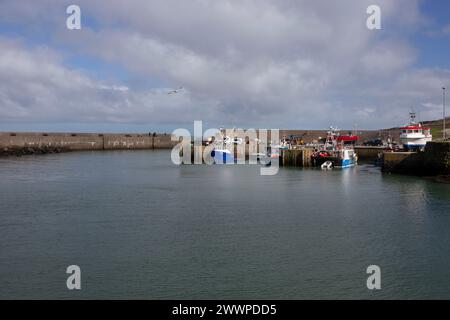 Amlwch Harbour with fishing boats vessels moored. Amlwch Port, Anglesey, Wales, United Kingdom. 23rd March 2024 Stock Photo