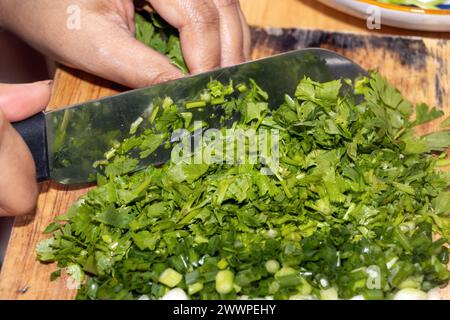 Slicing cilantro - coriander (Coriandrum sativum) on a kitchen cutting board Stock Photo - Alamy
