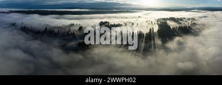 Early morning sunlight illuminates fog that has settled in the Willamette Valley in the Pacific Northwest, not far south of Portland, Oregon. Stock Photo