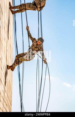 Air Assault candidates rappel off the rappel towers on Camp Buehring ...