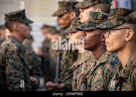 New U.S. Marines of Delta Company, 1st Recruit Training Battalion, Recruit Training Regiment, are presented their Eagle, Globe, and Anchors at Marine Corps Base Camp Pendleton, California, Feb. 21, 2024. The Eagle, Globe, and Anchor ceremony is the final event of the Crucible and represents the transformation of recruit to Marine.  Marine Corps Stock Photo