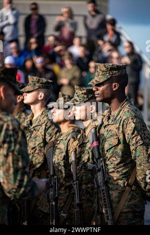 The new U.S. Marines of Delta Company, 1st Recruit Training Battalion, Recruit Training Regiment, are presented their Eagle, Globe, and Anchors at Marine Corps Base Camp Pendleton, California, Feb. 21, 2024. The Eagle, Globe, and Anchor ceremony is the final event of the Crucible and represents the transformation of recruit to Marine.  Marine Corps Stock Photo