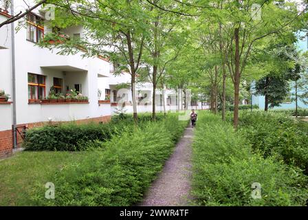 A footpath through the lavishly landscaped surroundings of a 1920s Berlin housing estate designed by Bruno Taut. Stock Photo