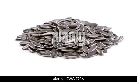 Heap of dried unhulled sunflower seeds isolated on white. Stock Photo