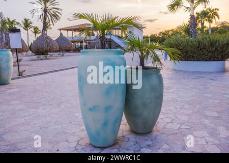 Close-up view of tropical plants in large floor pots against the backdrop of the sandy beach of the Caribbean Sea with sun loungers and sun umbrellas. Stock Photo