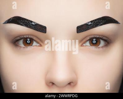 makeup artist applies paint henna on eyebrows in a beauty salon. Professional care for face. Stock Photo