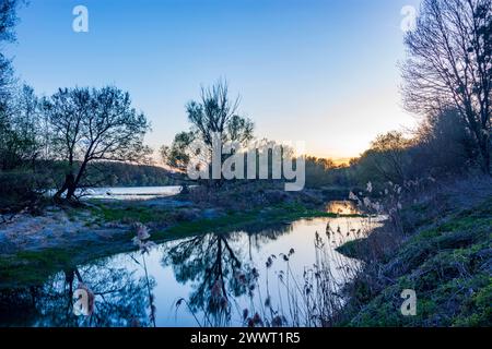 river Donau Danube, island near Orth an der Donau, sunset Nationalpark Donau-Auen, Danube- Donau Niederösterreich, Lower Austria Austria Stock Photo