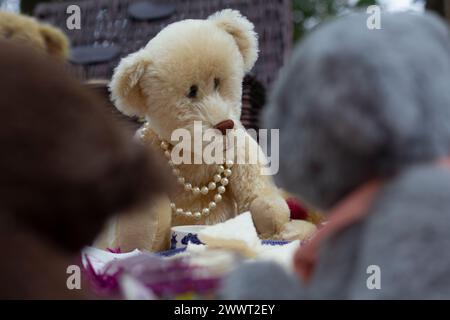 A view through other picnicking teddy bears to what looks to be the matriarch of the bears, wearing a pearl necklace Stock Photo