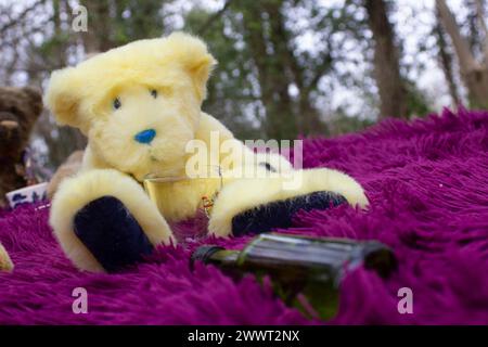 A solitary handmade yellow furry teddy bear sitting on a purple rug with an empty bottle in front of him and looking the worst for wear Stock Photo