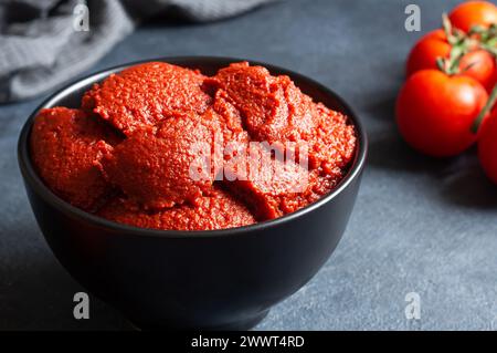 Traditional turkish tomato paste in bowl with fresh tomatoes on rustic table, homemade healthy food Stock Photo