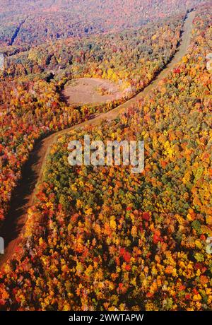 Aerial autumn view of power lines cutting swath through central Pennsylvania forest; USA Stock Photo