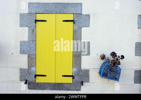closed yellow shutters and lobster basket with dried artichokes and succulents, France, Brittany Stock Photo