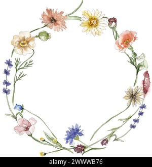 Watercolor wildflowers and grass wreath illustration, meadow flowers ...