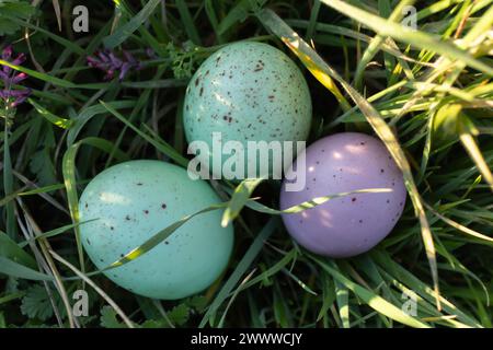 Photo of colored easter eggs Stock Photo