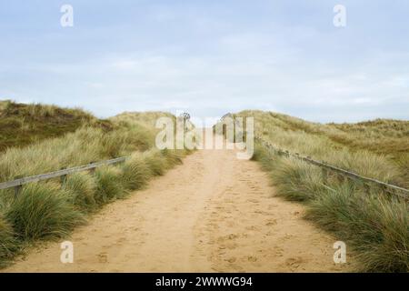 Path to beach through sand dunes and grass on coast in winter at Horsey Gap, Norfolk, UK Stock Photo
