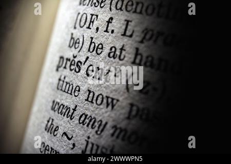 Word present on dictionary page, macro close-up Stock Photo