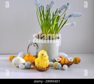 Yellow chick in the nest, colored easter eggs and spring light blue flowers. Happy Easter holiday concept. Easter still life Stock Photo