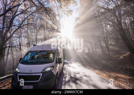 Auf einer kleinen Strasse in einem Wald am Ätna bricht die Morgensonne durch den sich auflösenden Nebel, ein Camper fährt auf der Strasse hinauf zum Vulkan. Catania, Sizilien, Italien Nebelwald am Ätna *** On a small road in a forest on Mount Etna, the morning sun breaks through the dissolving fog, a camper drives up the road to the volcano Catania, Sicily, Italy Cloud forest on Mount Etna Stock Photo