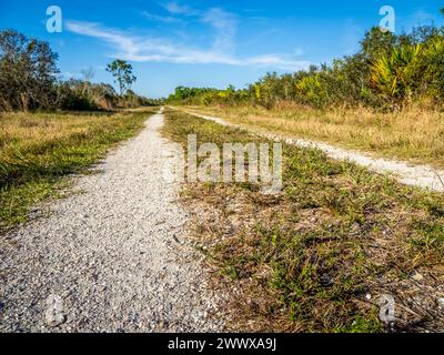 Primitive road in Deer Prairie Creek Preserve in Venice Florida USA Stock Photo