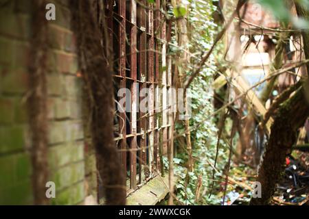 Abandoned rusty metal window frames without glass. Stock Photo