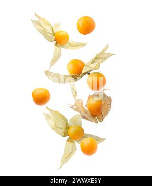 Ripe orange physalis fruits with calyx falling on white background Stock Photo