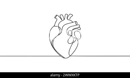 Single continuous line art anatomical human heart silhouette. Healthy medicine concept design one sketch outline drawing vector illustration. Stock Vector