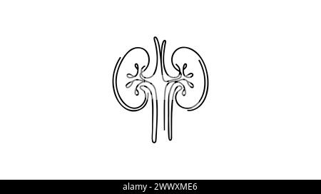 Human kidneys with ureters one line art. Continuous line drawing of ...