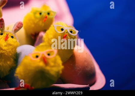 Stylish yellow cheerful Easter chickens in pink sunglasses celebrating ...