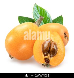 Ripe perfect loquats fruits with green leaves isolated on white background. Stock Photo