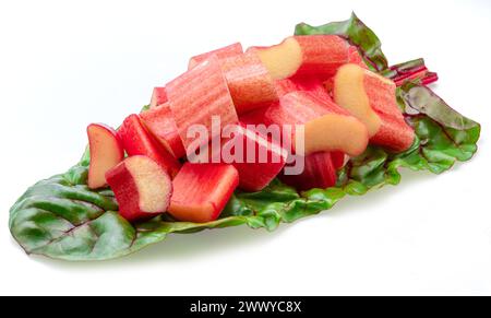 Red rhubarb stems' cuts over rhubarb leaves isolated on white background. Stock Photo