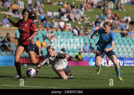 Ella Rose Tonkin (L), Annalee Sarah Grove (M) of Adelaide United and Cortnee Brooke Vine (R) of Sydney FC are seen in action during the Liberty A-League 2023-24 season round 21 match between Sydney FC and Adelaide United held at the Leichhardt Oval. Final score; Sydney FC 3:0 Adelaide United. Stock Photo