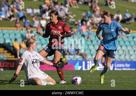 Annalee Sarah Grove (L), Ella Rose Tonkin (M) of Adelaide United and Cortnee Brooke Vine (R) of Sydney FC are seen in action during the Liberty A-League 2023-24 season round 21 match between Sydney FC and Adelaide United held at the Leichhardt Oval. Final score; Sydney FC 3:0 Adelaide United. Stock Photo