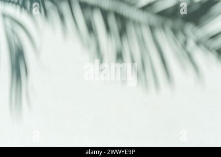 Blurred shadow of tropical palm leaves on gray wall background. Summer concept. Stock Photo